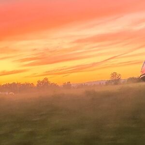 Meet your Posher, Kelly.